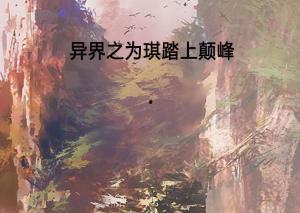 踏上巅峰,我的奋斗之路