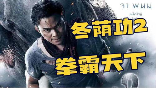 冬荫功2：拳霸天下（国语版）,拳霸天下——热血回归，巅峰对决再掀风云