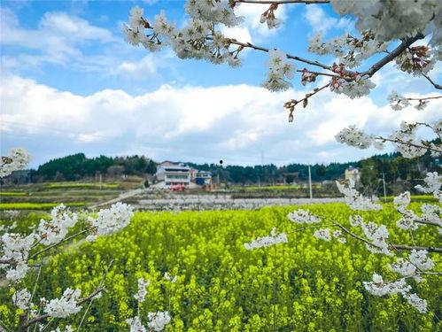 美丽乡村浪漫事,美丽乡村的温馨故事