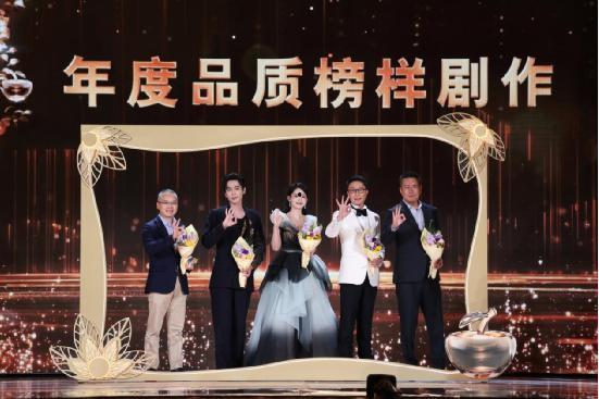 2024电视剧品质盛典,年度佳作揭晓，荣耀时刻再续辉煌